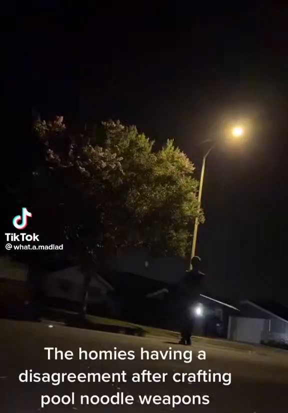 CS Tik Tok what.a.madiad The homies having a disagreement after crafting pool noodle weapons