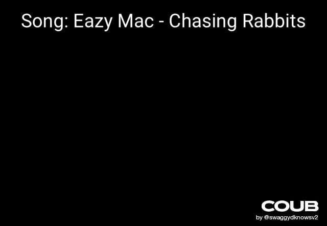 Song Eazy Mac Chasing Rabbits Coub Ifunny