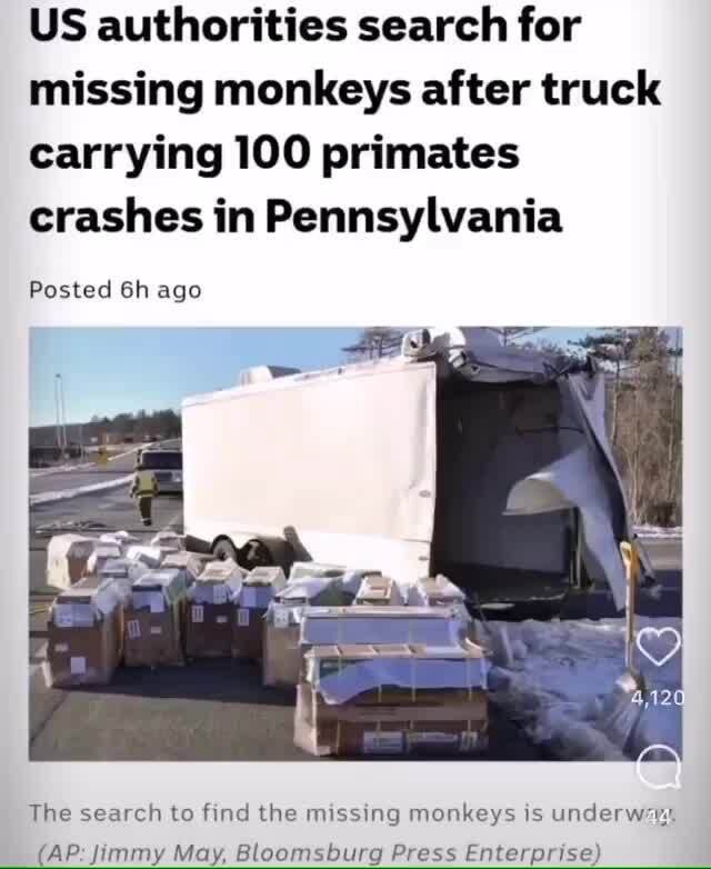 US authorities search for missing monkeys after truck carrying 100