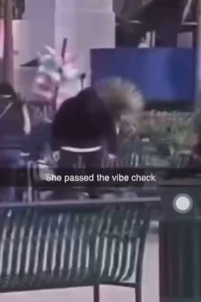 Passed The Vibe Check Ifunny