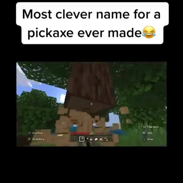 Most clever name for a pickaxe ever made& iFunny