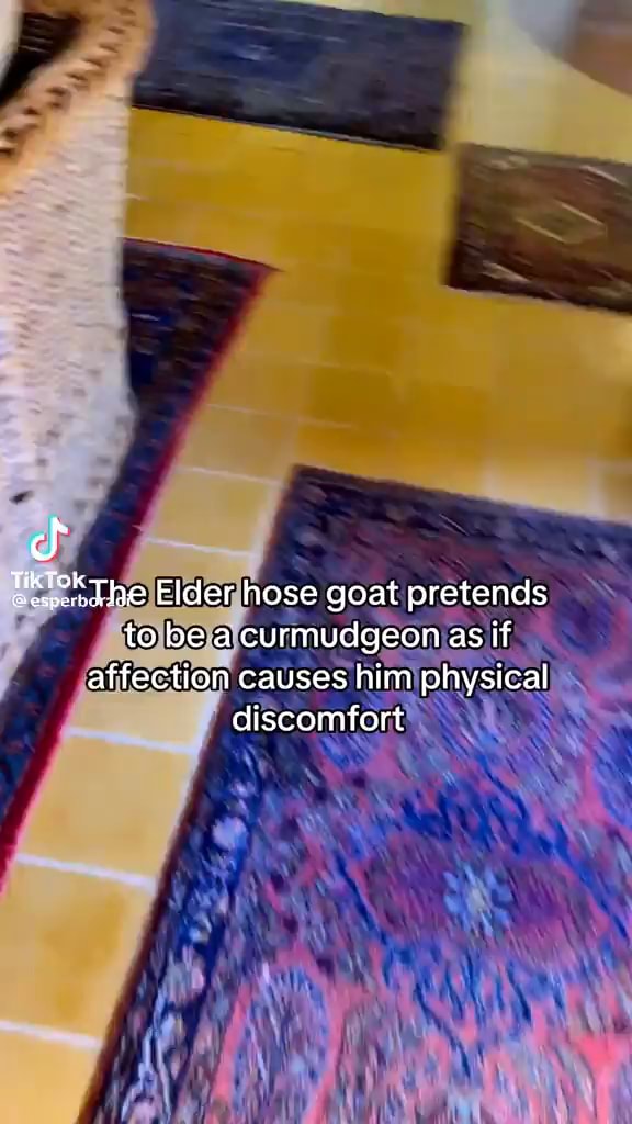 The Elder hose goat pretends to be a curmudgeon as if affection causes