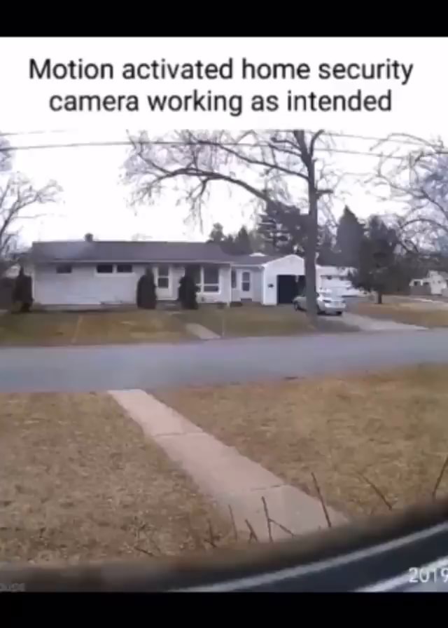 Motion activated home security camera working as intended iFunny