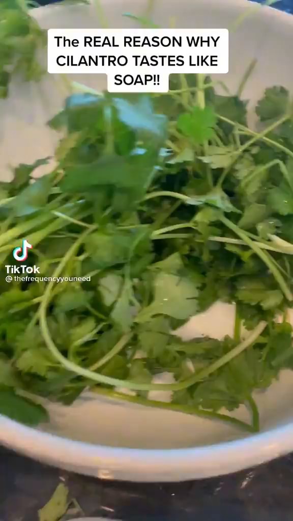 The REAL REASON WHY CILANTRO TASTES LIKE SOAP! Ws We. TikTok