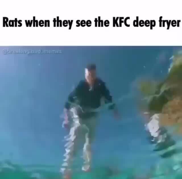 Rats when they see the KFC deep fryer iFunny