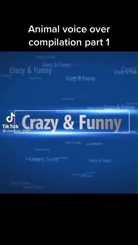 Animal voice over compilation part 1 TikTe iFunny