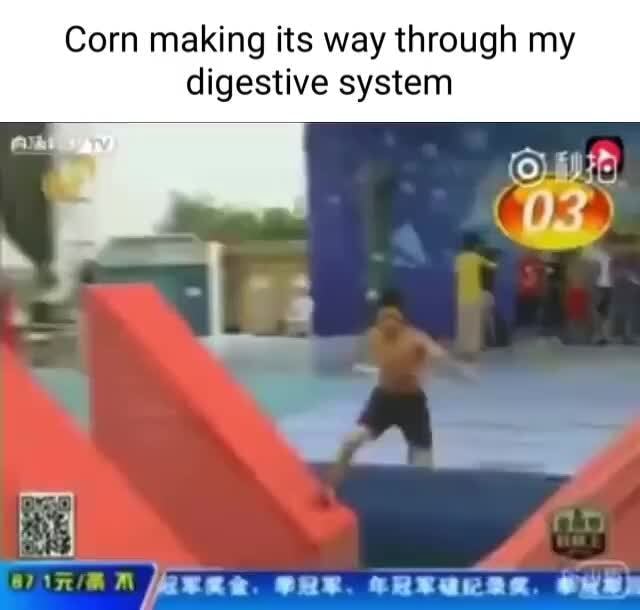 Corn making its way through my digestive system Ow iFunny Brazil