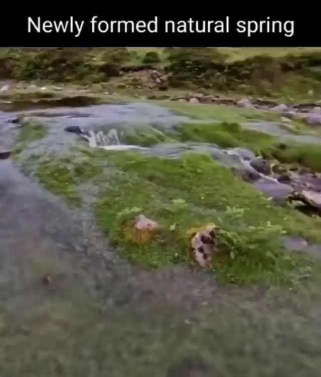 Newly formed natural spring iFunny