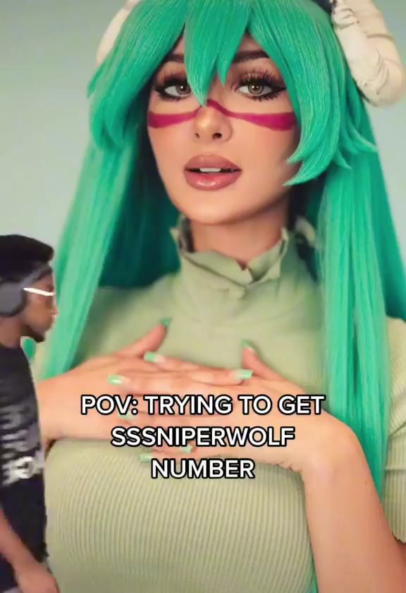 POV TRYING TO GET SSSNIPERWOLF NUMBER iFunny