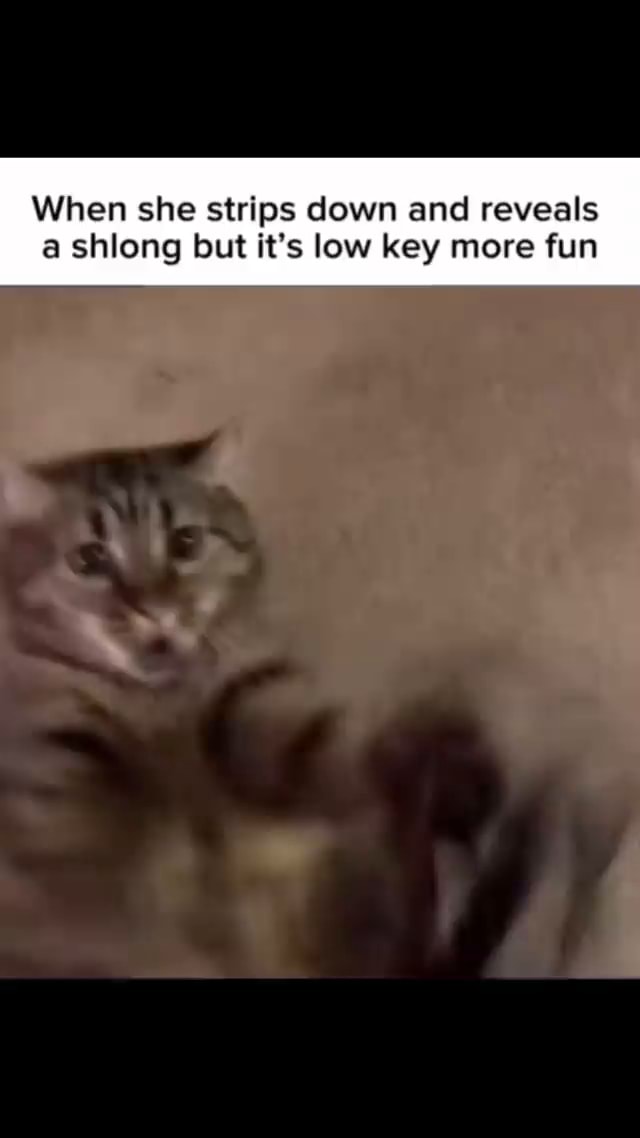 When she strips down and reveals a shlong but it's low key more fun - iFunny