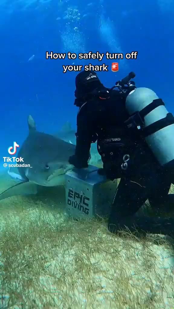 How to safely turn off your shark Tik TOK pagae iFunny