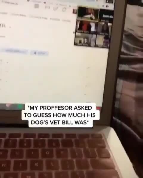 *MY PROFFESOR ASKED TO GUESS HOW MUCH HIS DOG'S VET BILL WAS* - iFunny