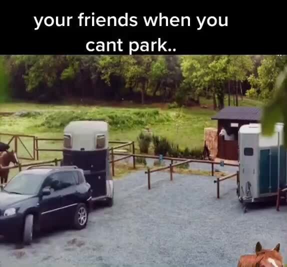 Your friends when you cant park.. - iFunny