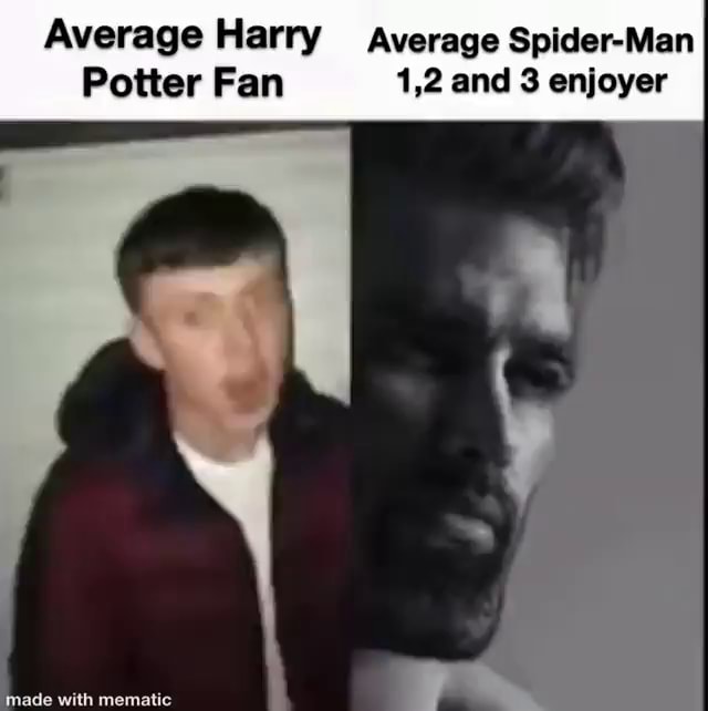 Average Harry Average Spider-Man Potter Fan 1,2 and 3 enjoyer - iFunny