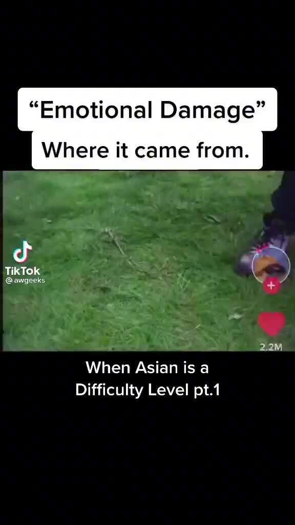 "Emotional Damage" Where it came from. TikTok awgeeks 2.2M When Asian