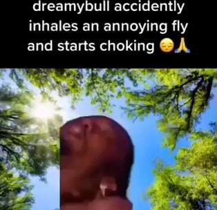 Dreamybull accidently inhales an annoying fly and starts choking @A - iFunny