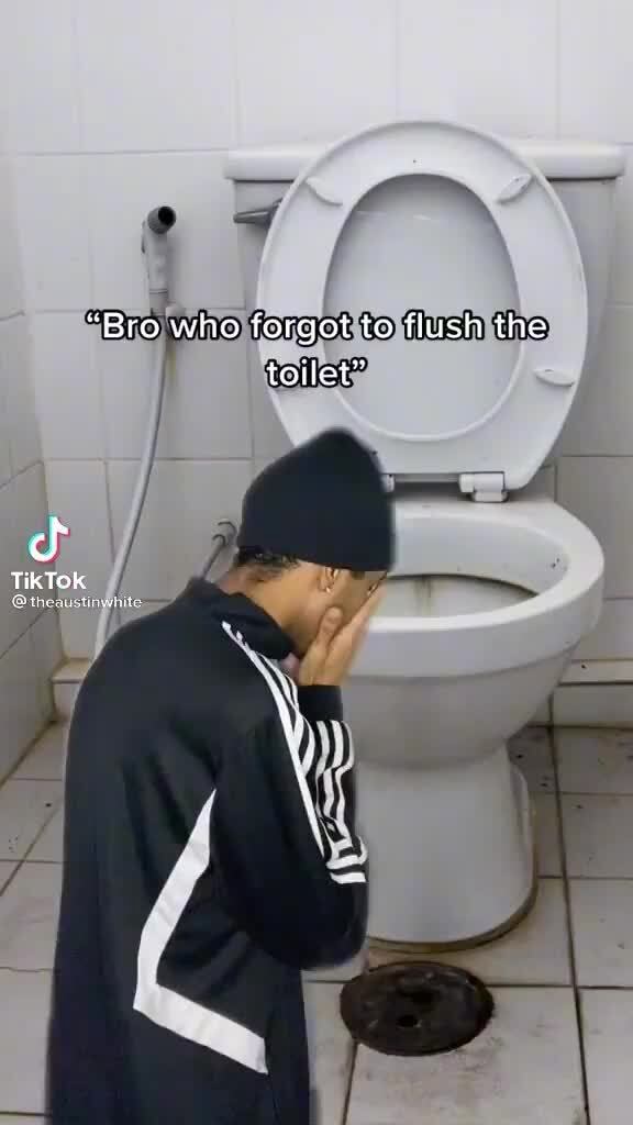 "Bro Who Forgot To Flush The Toilet" Cf TikTok Sethe Ausinsente - IFunny