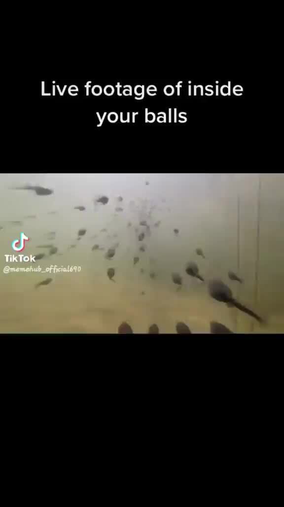 Live Footage Of Inside Your Balls Ifunny