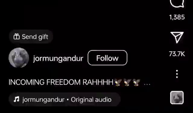 Freedom Rahhhh Send gift jermungandur Follow ) jormungandur (_Follow INCOMING FREEDOM ...