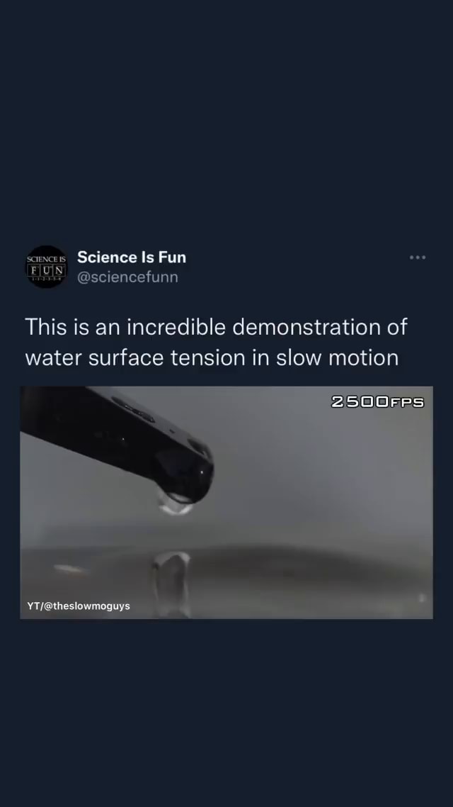 Those little droplets😍. Surface tension is the tendency of liquid