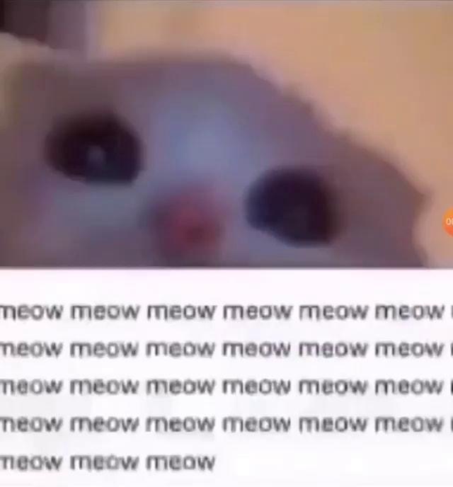 Jeow meow meow meow meow meow eow Meow meow meow meow meow Meow Meow