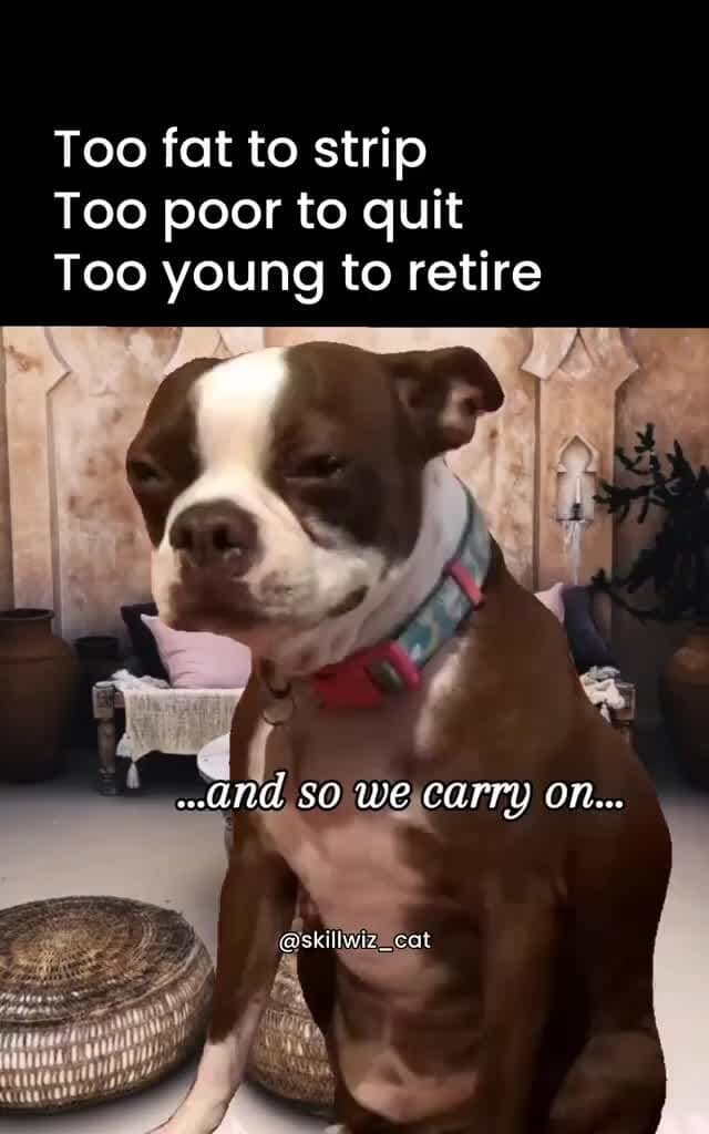 too-fat-to-strip-too-poor-to-quit-too-young-to-retire-and-so-we-carry