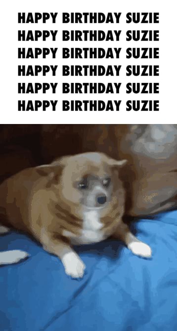 HAPPY BIRTHDAY SUZIE HAPPY BIRTHDAY SUZIE HAPPY BIRTHDAY SUZIE HAPPY ...