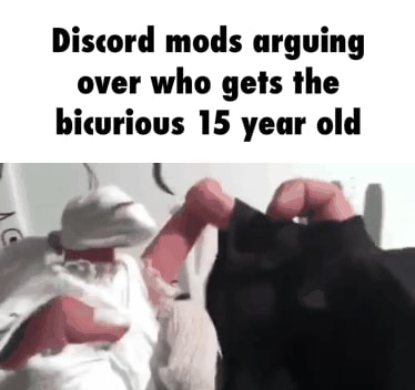 Discord mods arguing over who gets the bicurious 15 year old - iFunny