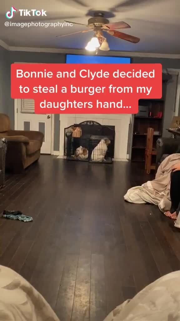 TikTok Bonnie and Clyde decided to steal a burger from my daughters ...