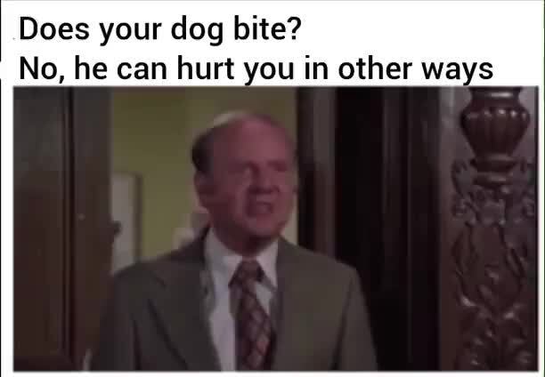 Does your dog bite? No, he can hurt you in other ways - iFunny