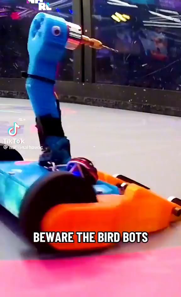 Tiktok Beware The Bird Bots Ifunny