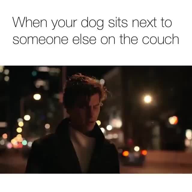 When your dog sits next to someone else on the couch iFunny