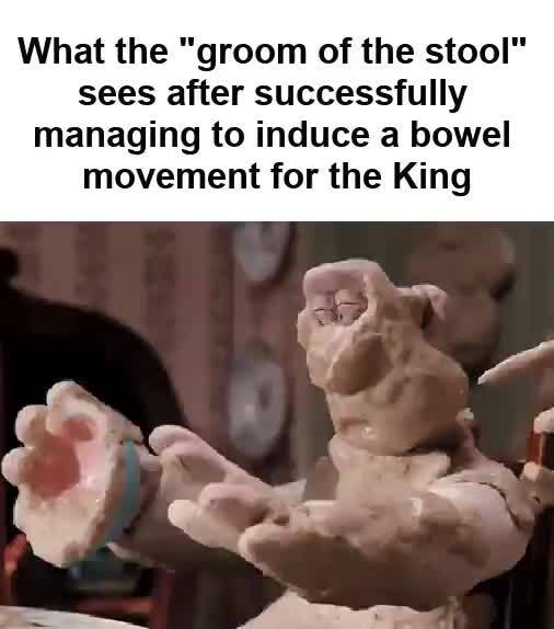 What the "groom of the stool" sees after successfully managing to