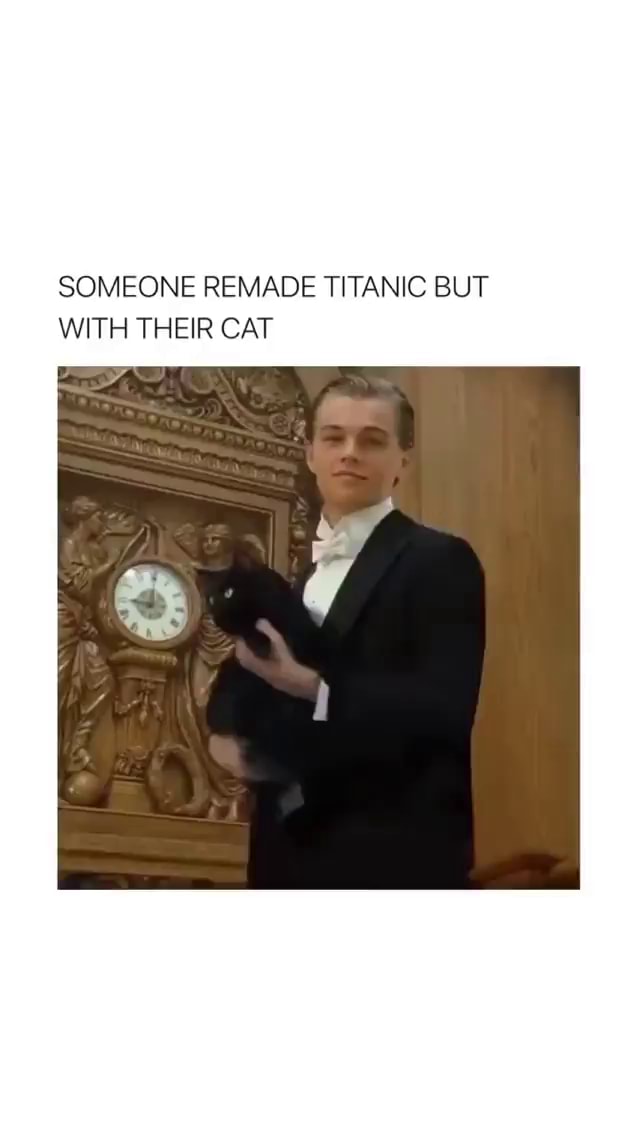 SOMEONE REMADE TITANIC BUT WITH THEIR CAT - iFunny