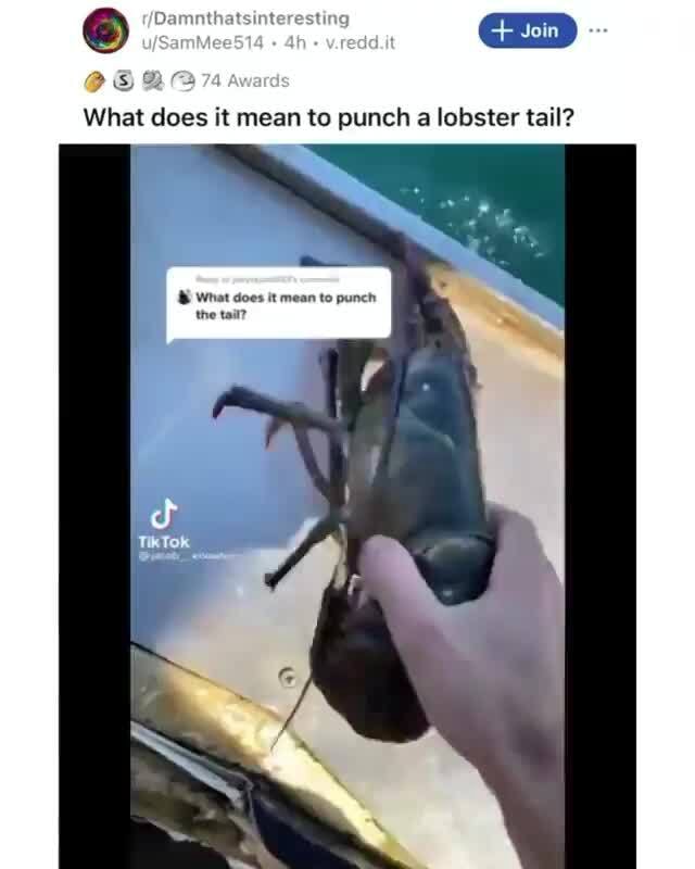 Join What does it mean to punch a lobster tail? What does it mean to
