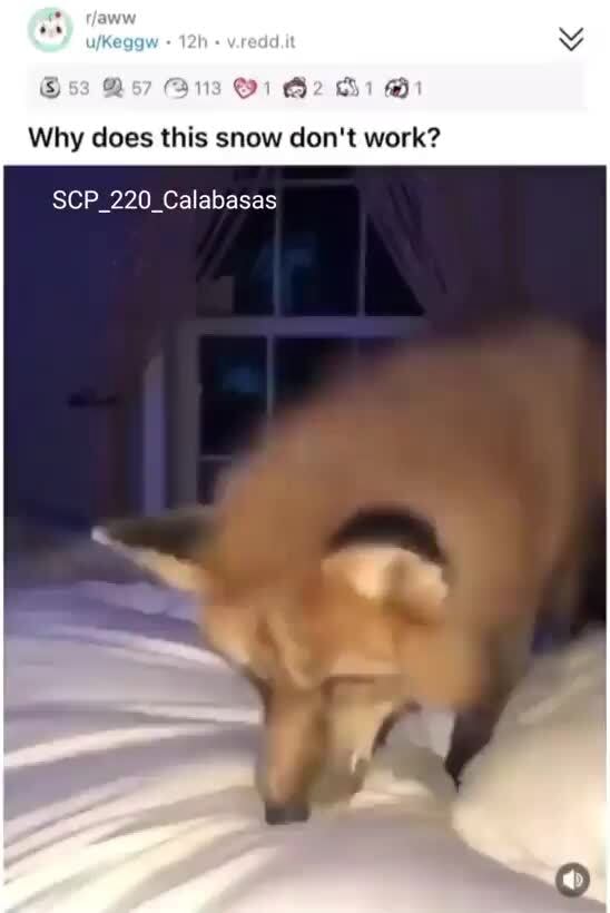 Ag Why does this snow don't work? SCP_220_Calabasas iFunny