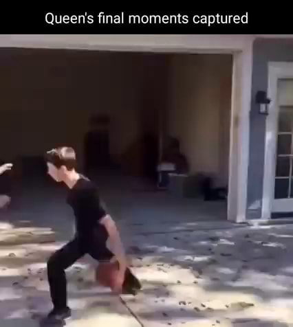 Queen's final moments captured - iFunny