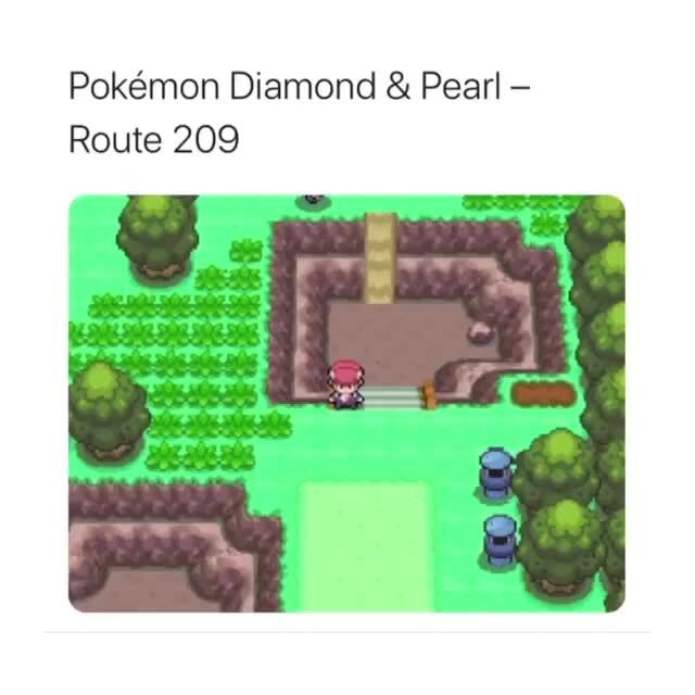 Woning bezoeker deken Pokémon Diamond Pearl Route 209 - iFunny