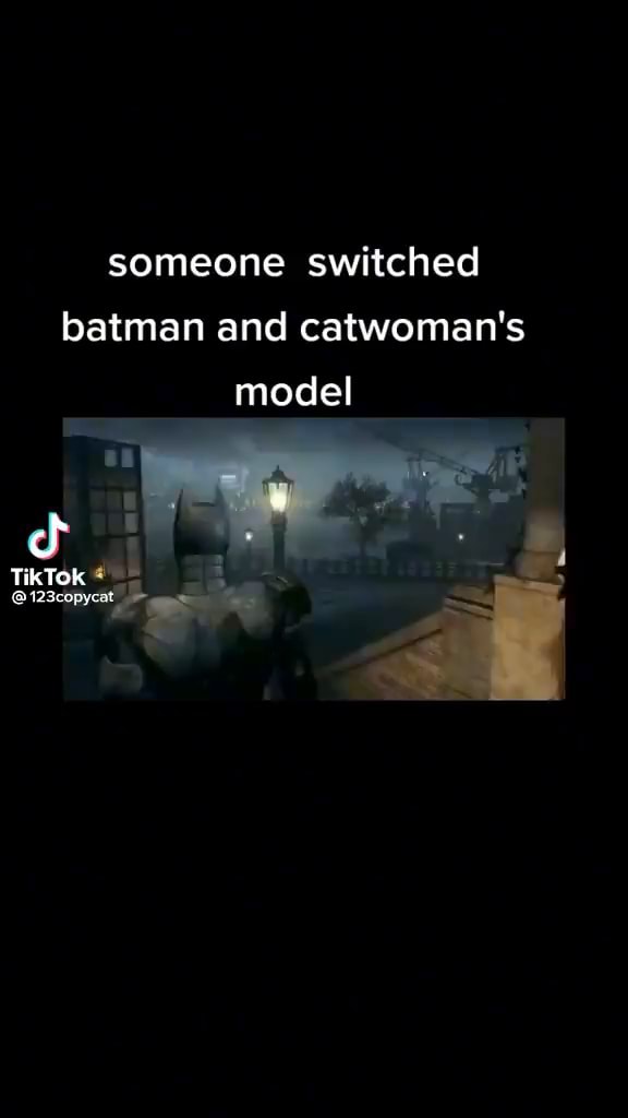 Someone switched batman and catwoman's model iFunny