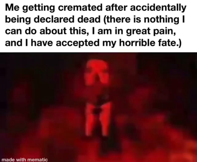 Me getting cremated after accidentally being declared dead (there is ...