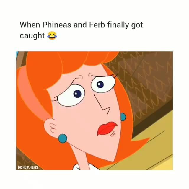 When Phineas and Ferb finally got caught ”o - iFunny