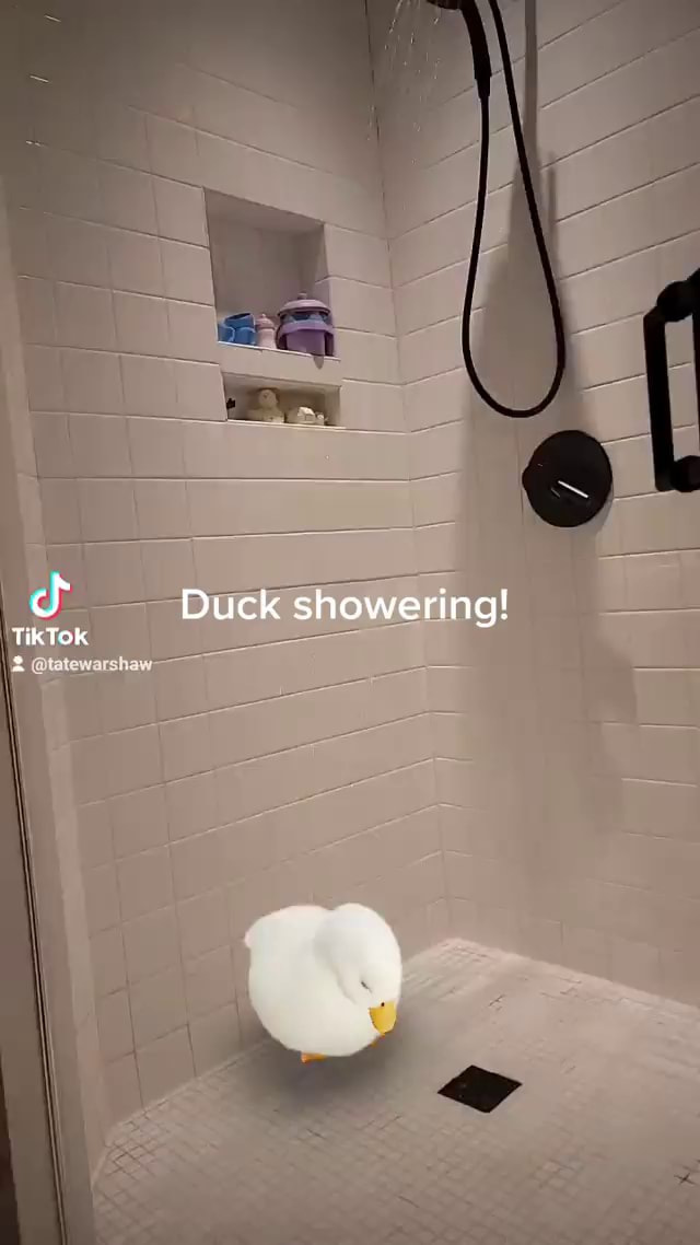 Duck showering! TikToK iFunny