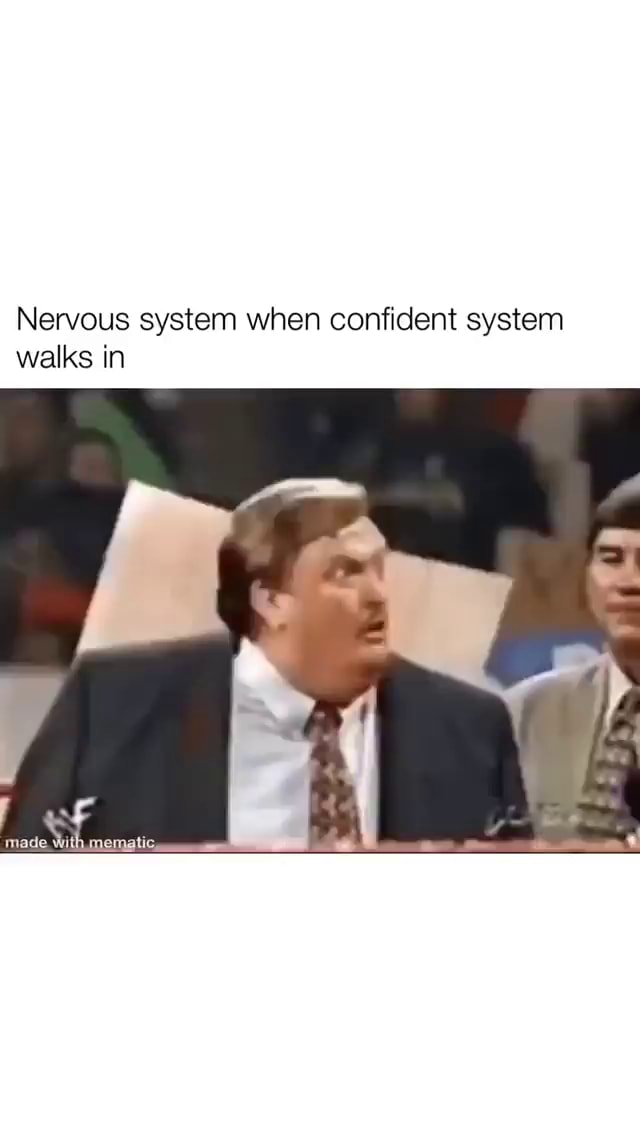 Nervous System When Confident System Walks In Nervous system when confident system walks in made. With.mematic - iFunny