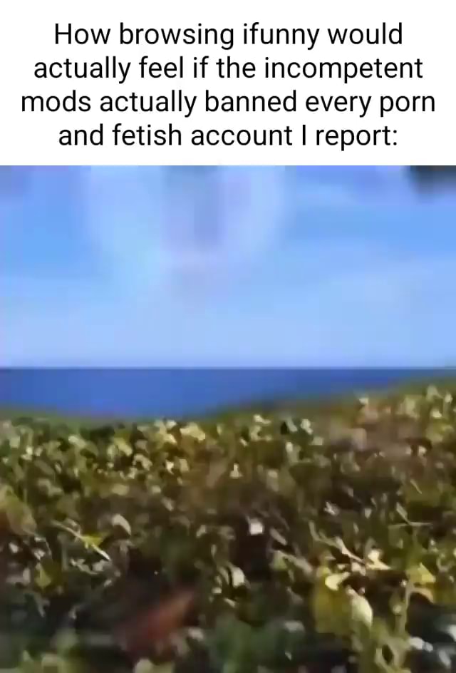 How browsing ifunny would actually feel if the incompetent mods