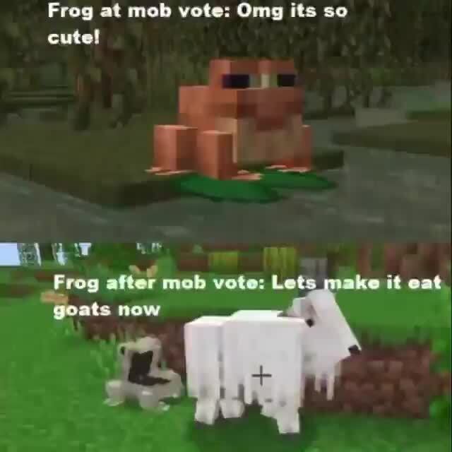 Frog at mob vote: Omg its so cute! Frog after mob vote: Lets ke it eat ...