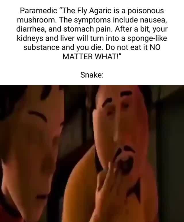 Paramedic "The Fly Agaric is a poisonous mushroom. The symptoms include