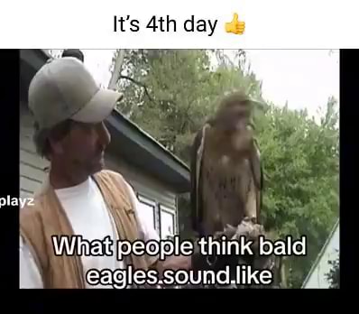It's day What peaple think I bald eagles.sound like - iFunny