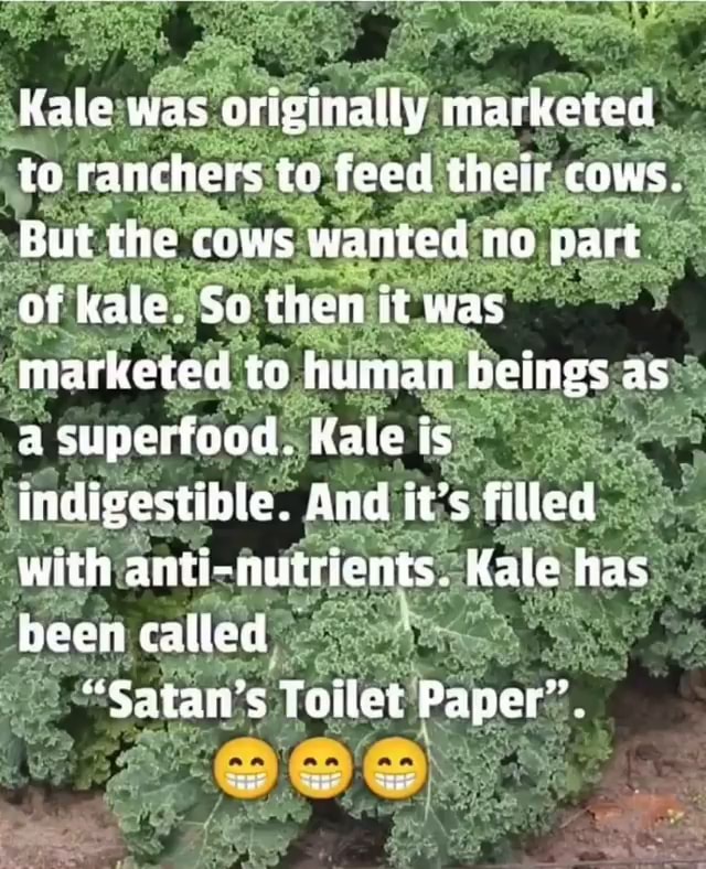 Kale was originally marketed to ranchers te feed cows. But the cows