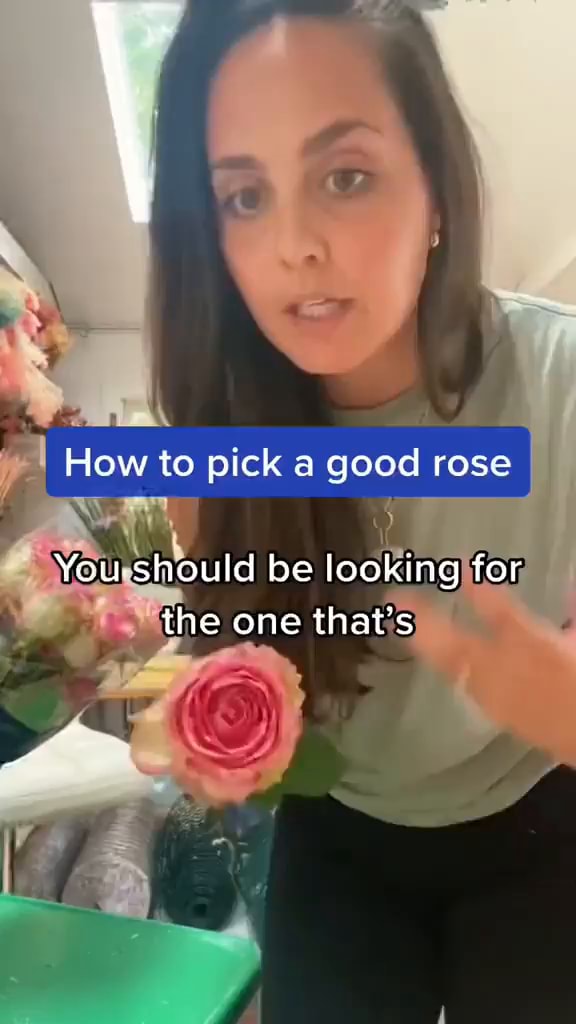 How to pick a good rose You should be looking for the one that's iFunny