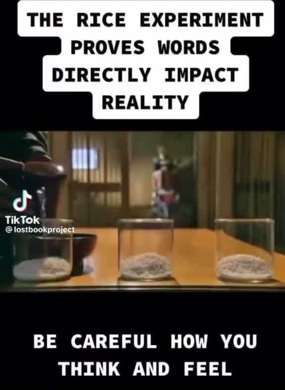 After Rice Experiment THE RICE EXPERIMENT PROVES WORDS DIRECTLY IMPACT REALITY Til BE CAREFUL ...
